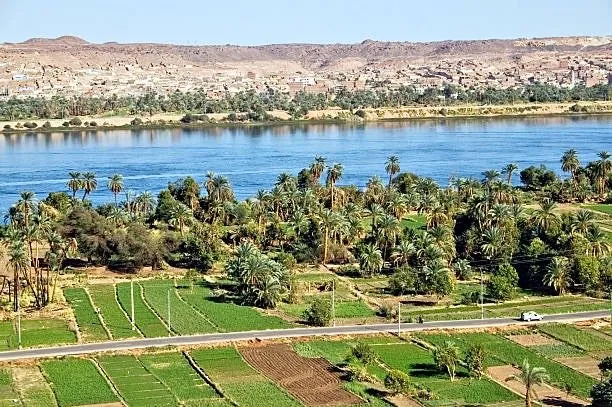 Farmland along the Nile valley