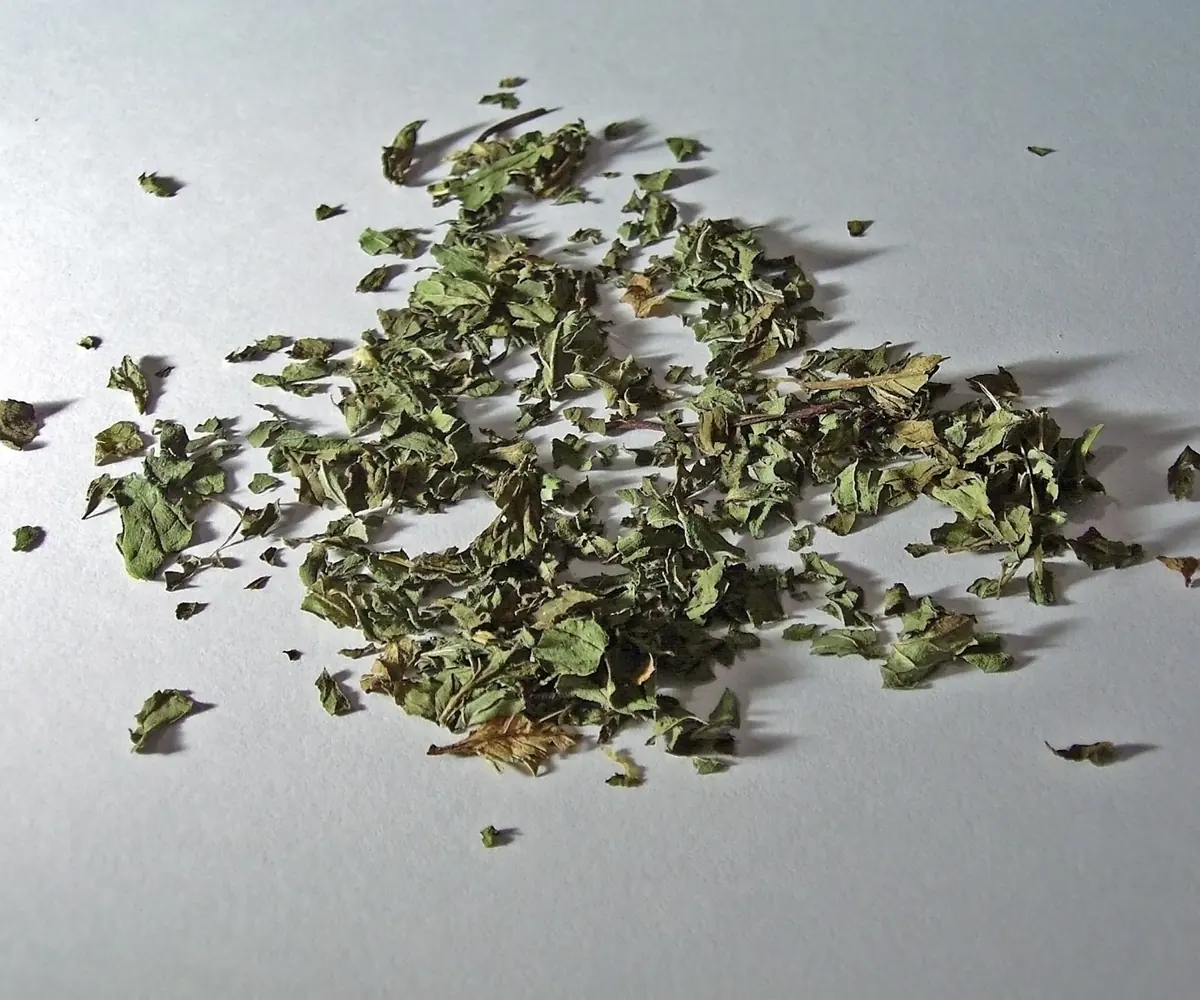 Dried Egyptian peppermint
