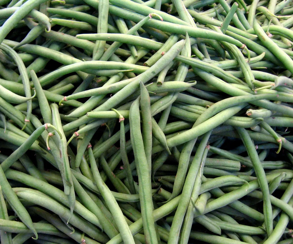 Egyptian frozen green beans