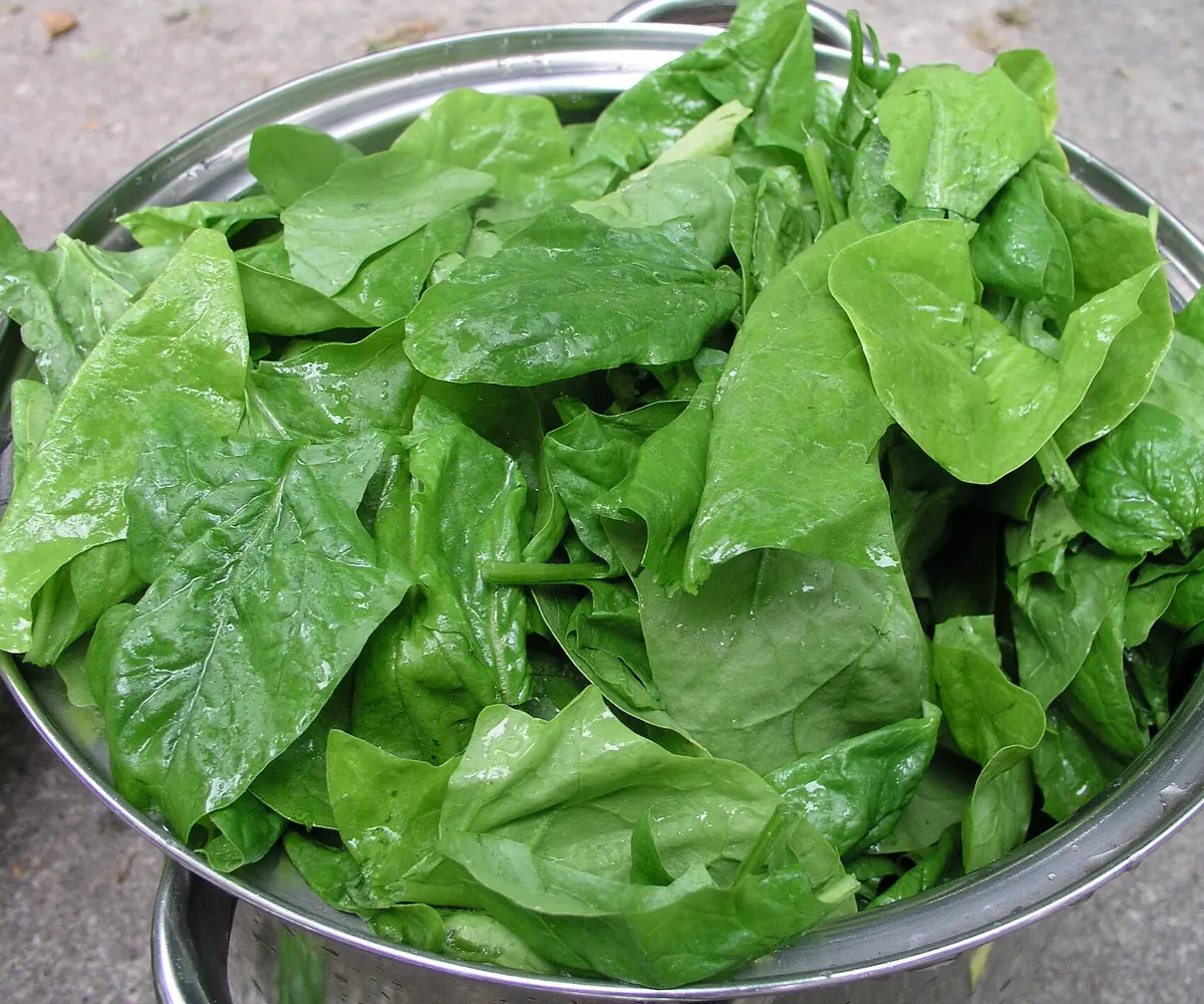 Egyptian frozen spinach