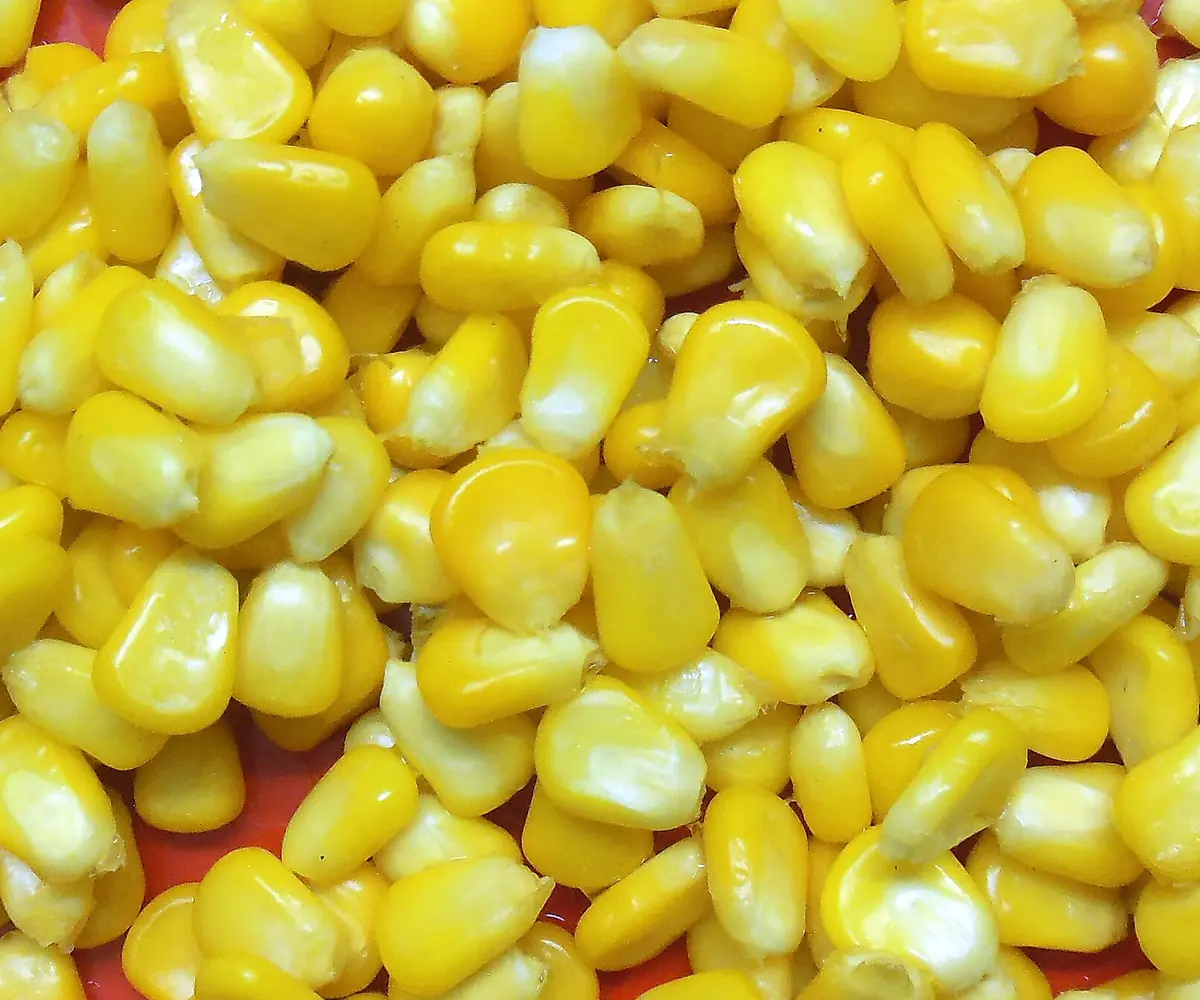 Egyptian frozen sweet corn kernels