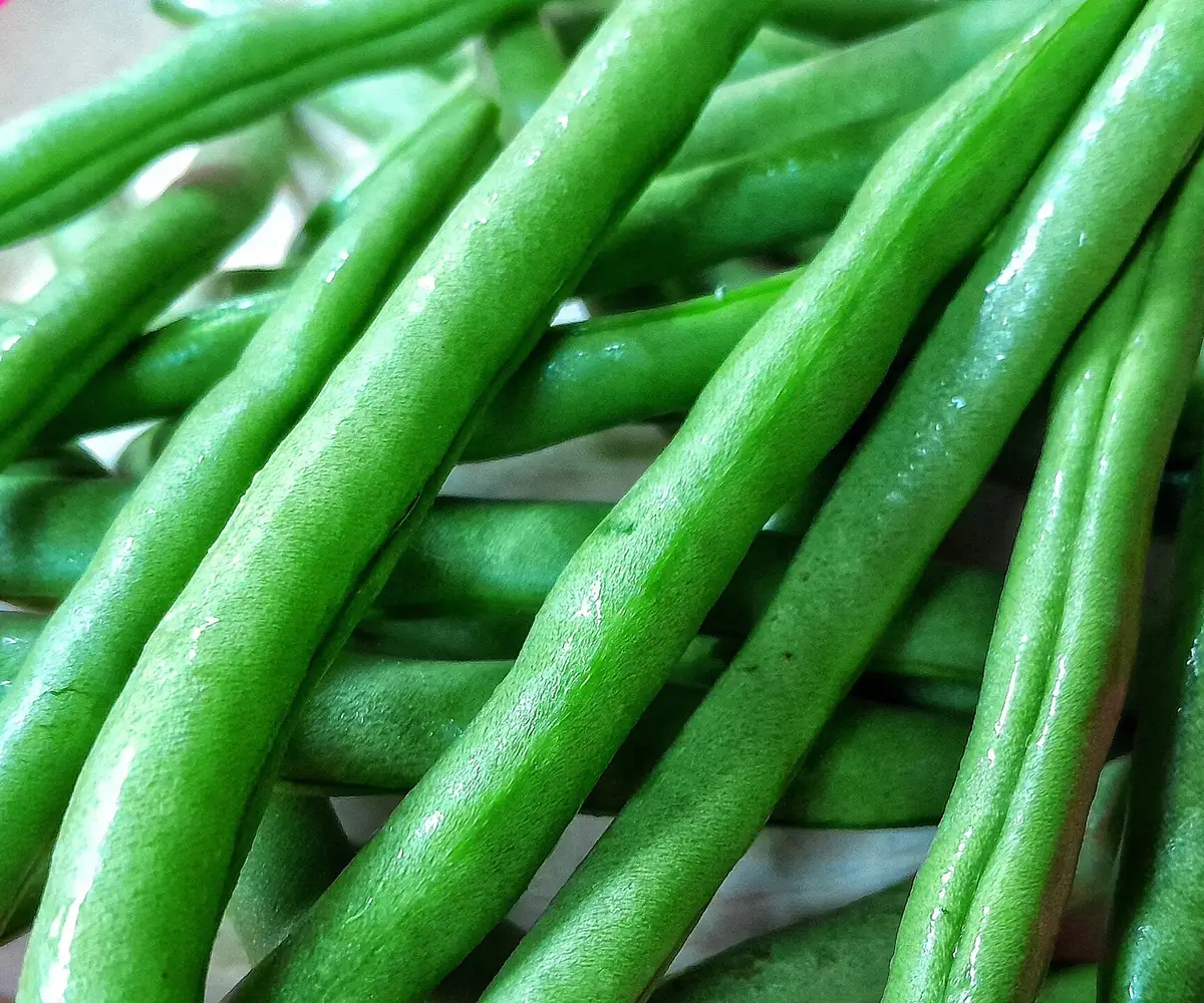 Fresh Egyptian green beans