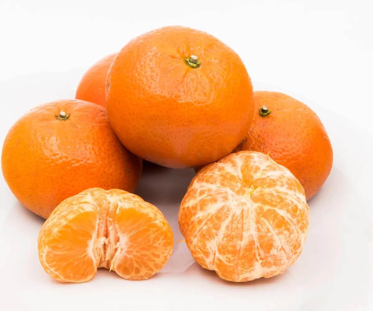 Fresh Egyptian mandarins
