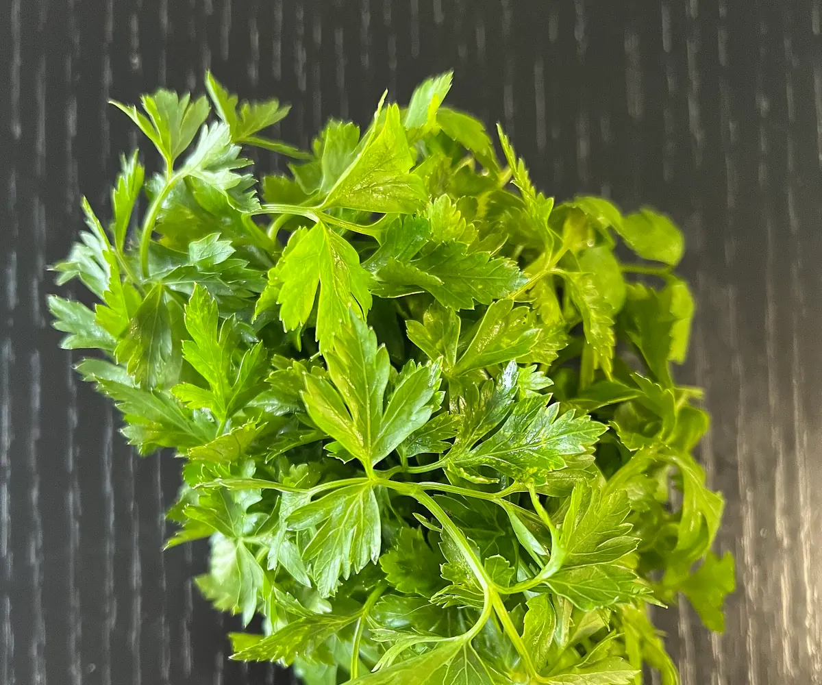 Fresh Egyptian parsley bunches