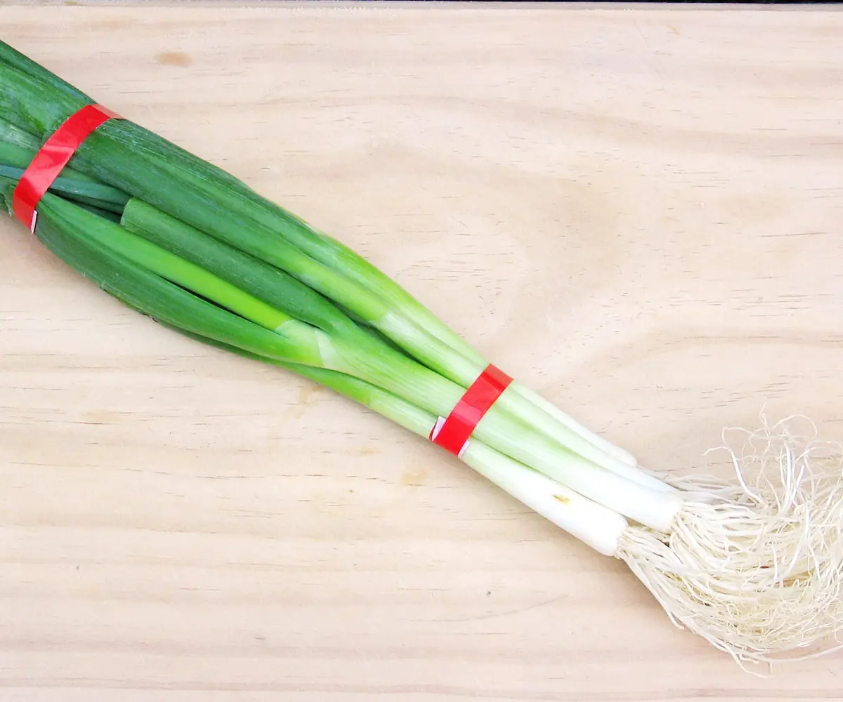 Fresh Egyptian spring onions