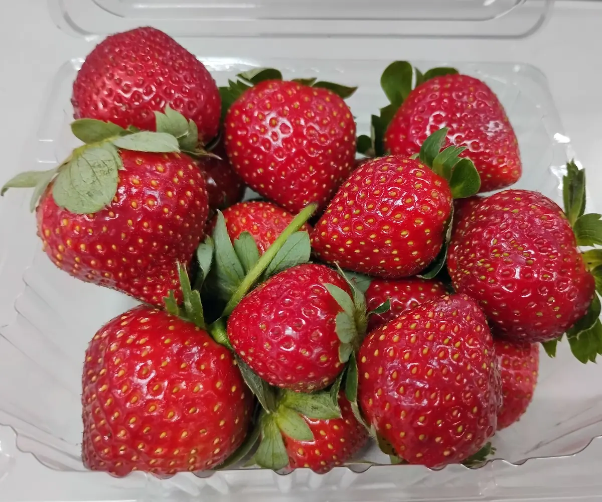 Fresh Egyptian strawberries