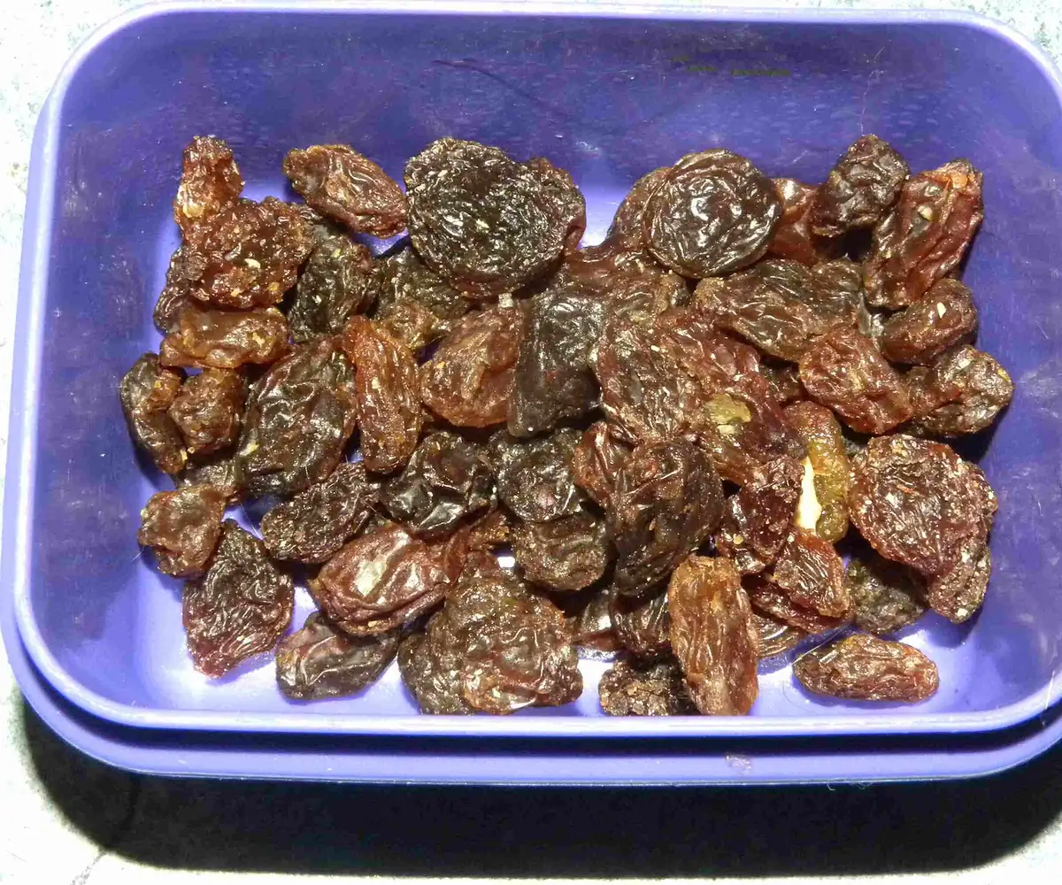 Egyptian sultana raisins
